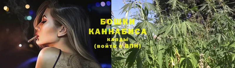 сколько стоит  Старый Оскол  дарк нет состав  Бошки марихуана White Widow 